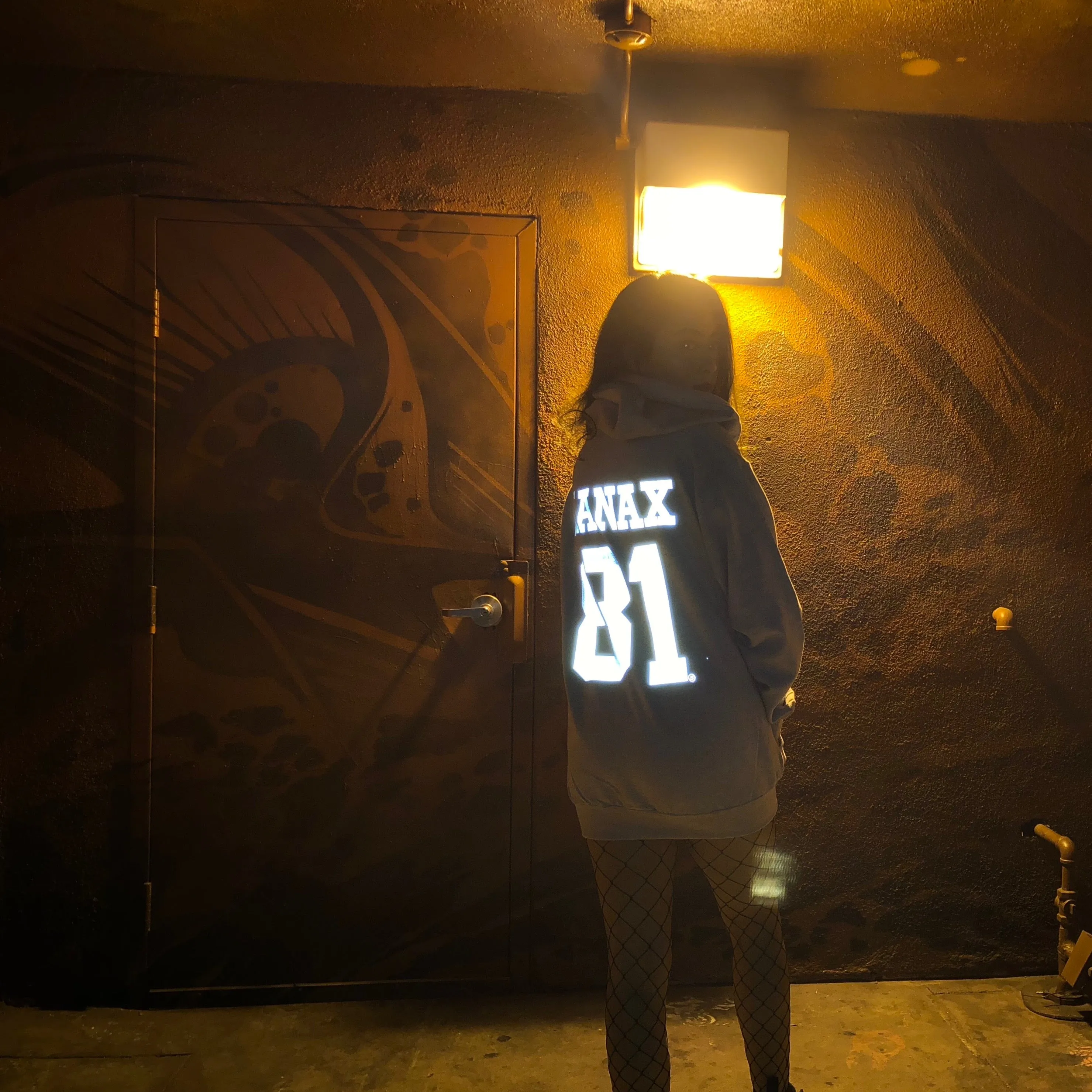 XANAX REFLECTIVE HOODIE