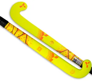 Y1 L6 10